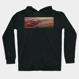 Fire Stone Hoodie